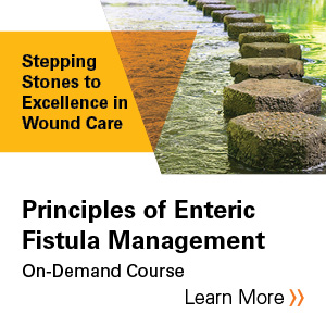 Principles of enteric fistula management Banner
